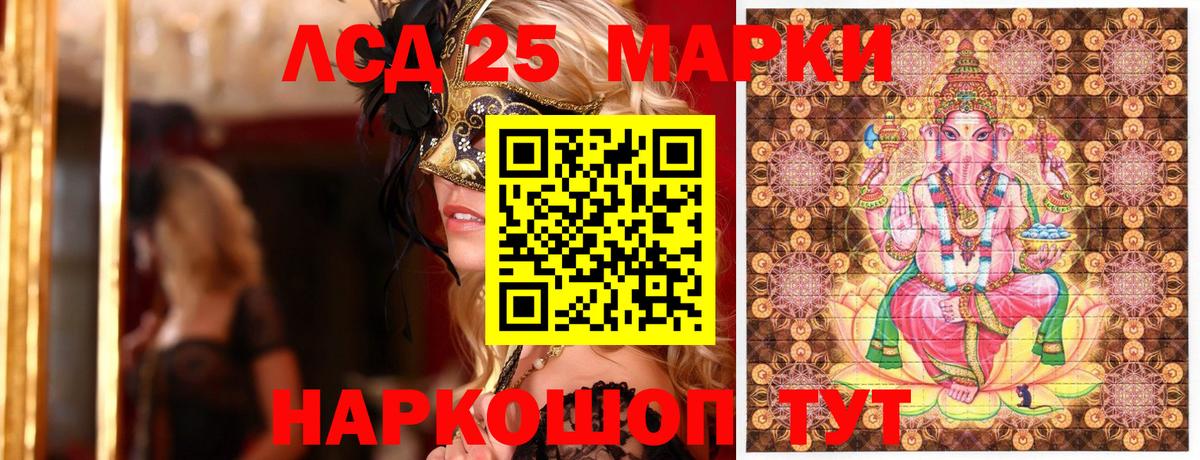 Зеленогорск  Круглые  НБОМе  Хэш  MDMA  Вход с VPN  Кислота  МАРИХУАНА  Канабис  Мяу-Мяу 