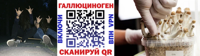 Псилоцибиновые грибы Psilocybe  Зеленогорск 