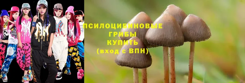 Псилоцибиновые грибы MAGIC MUSHROOMS  Зеленогорск 