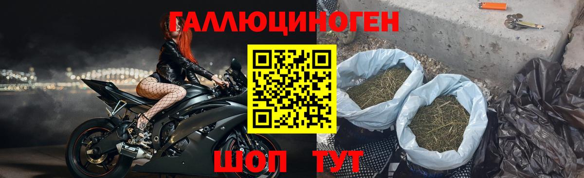 Псилоцибиновые грибы Magic Shrooms Зеленогорск