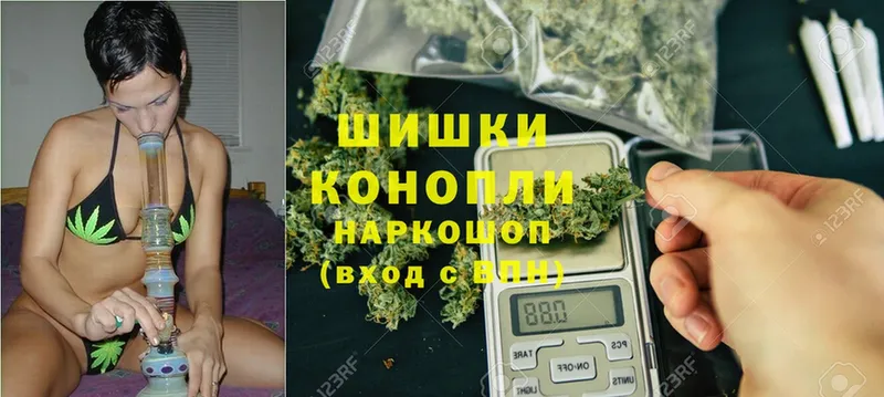 наркотики  Зеленогорск  Канабис White Widow 